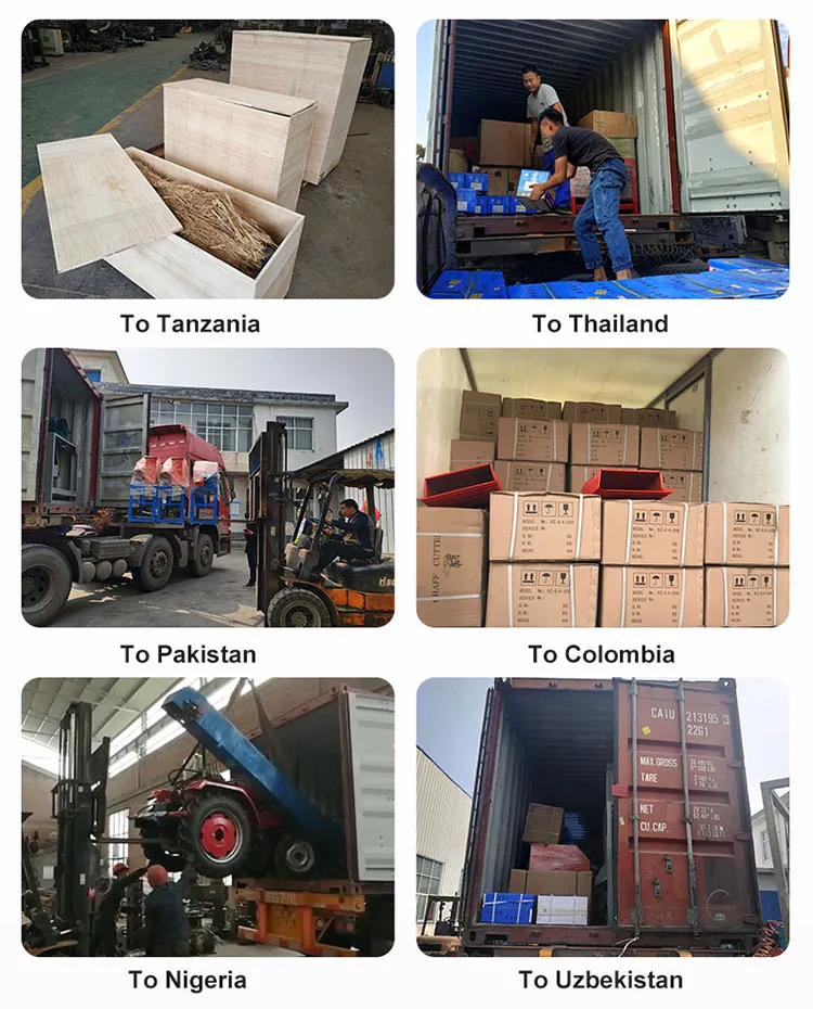 1000kg/H Poultry Feed Machine Livestock Farm Using Machinery