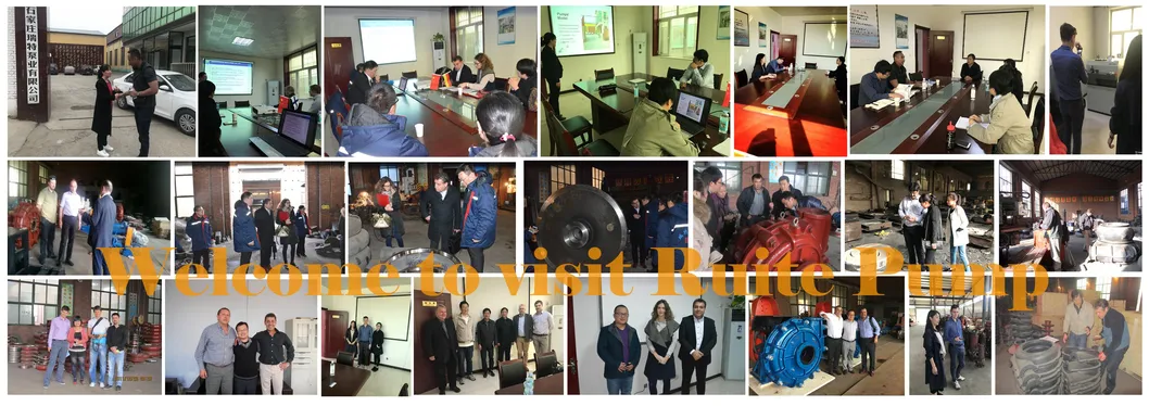 100RV-Sp Series Slurry Pump Parts Frame Plate Liner Insert Code Sp10041