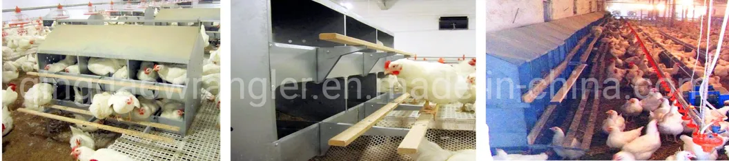 24 Hole Egg Nest /12 Hole Egg Nest / 6 Hole Egg Nest