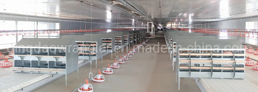 24 Hole Egg Nest /12 Hole Egg Nest / 6 Hole Egg Nest