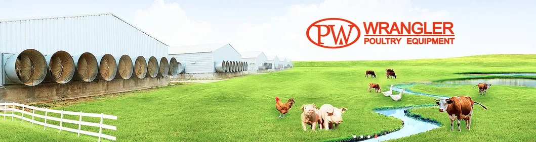 24 Hole Egg Nest /12 Hole Egg Nest / 6 Hole Egg Nest