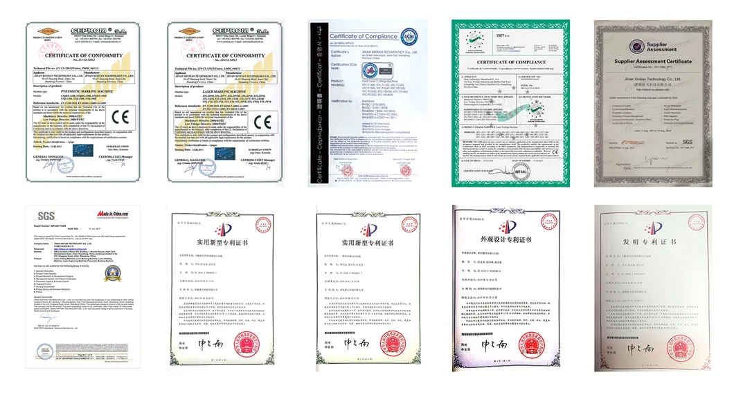 4000W Fiber Laser Cutting Machine with 1500*6000mm for CS Ss