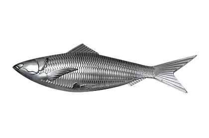 5 Axis Vertical Machining Center Bf-V8