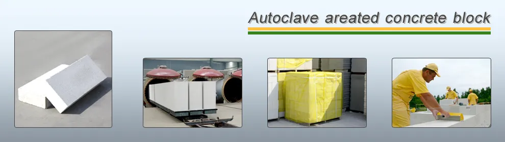 50000-300000m3 AAC Plant Autoclave