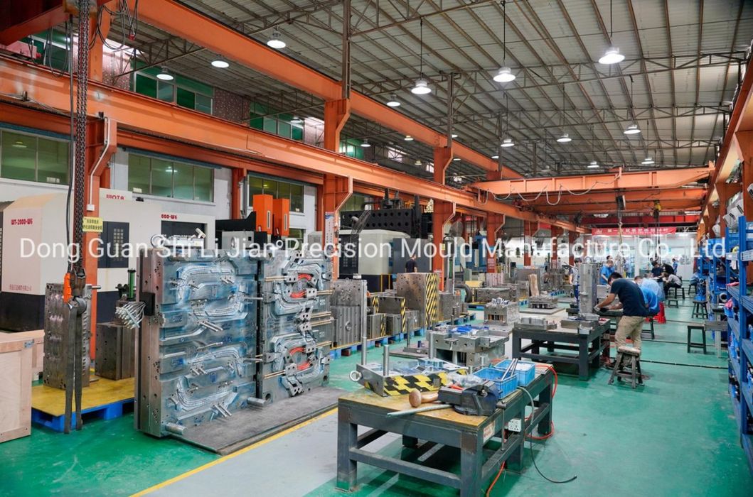 Auto Parts/Overmolding/Injection Mould/Plastic Mould