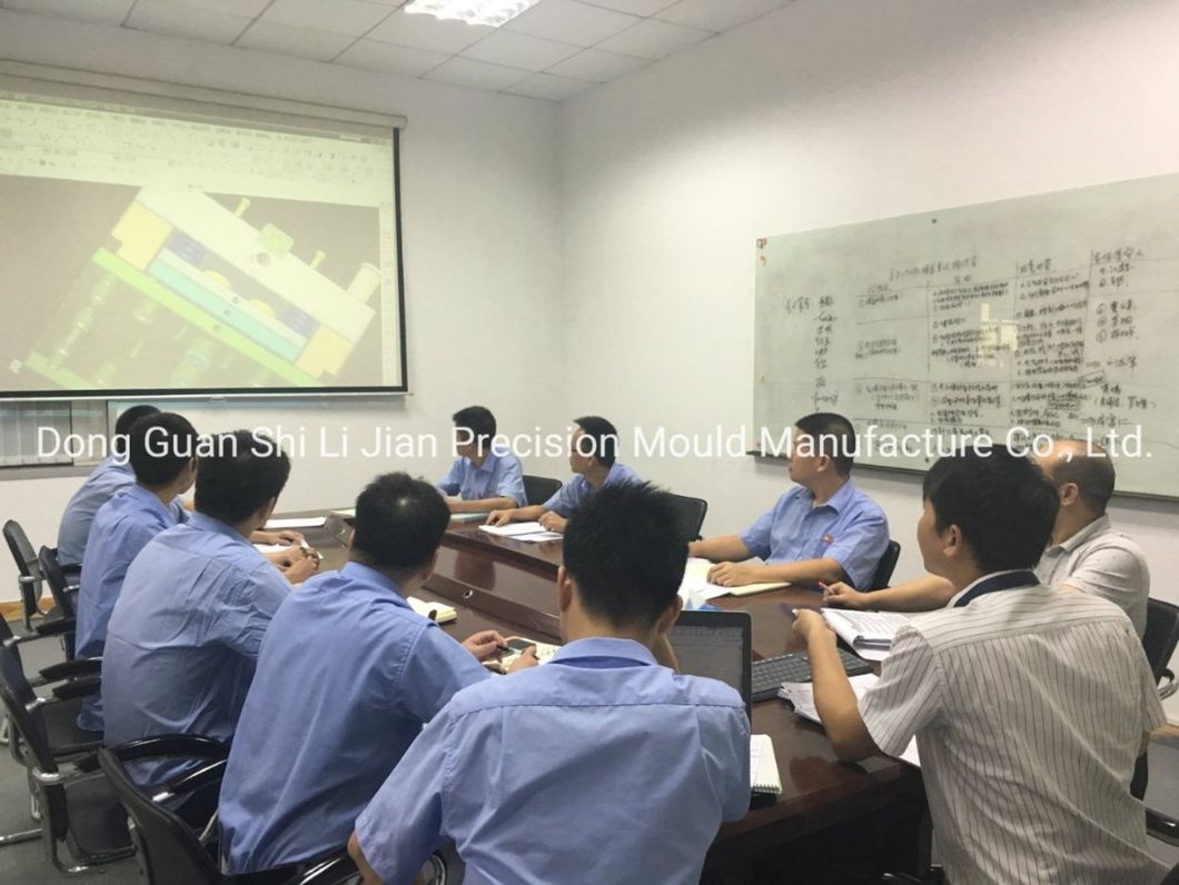 Auto Parts/Overmolding/Injection Mould/Plastic Mould