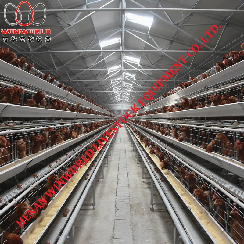 Battery Poultry Layer Cage for Poultry Farming