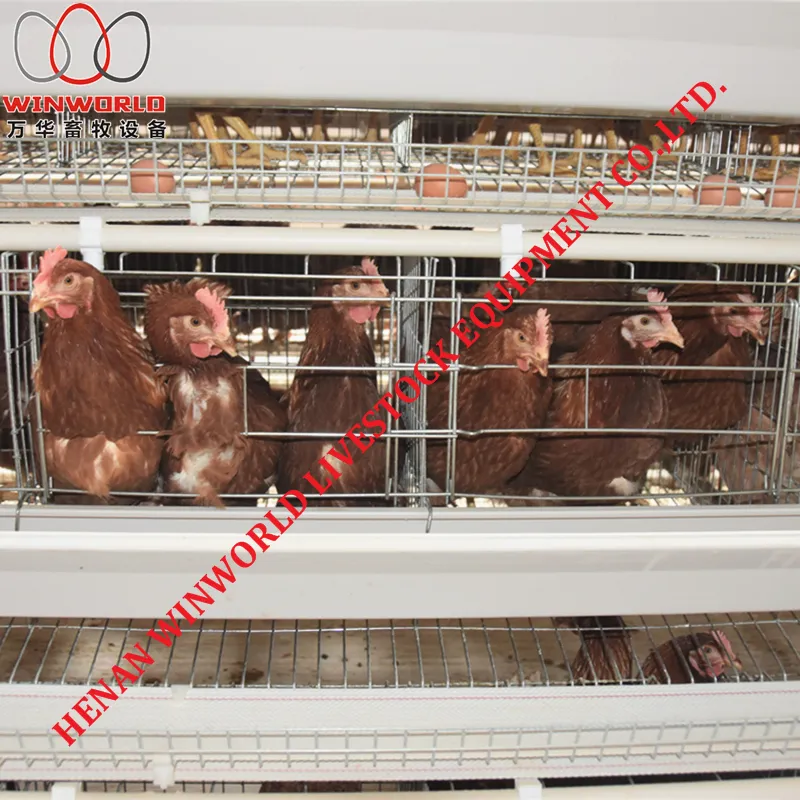 Battery Poultry Layer Cage for Poultry Farming