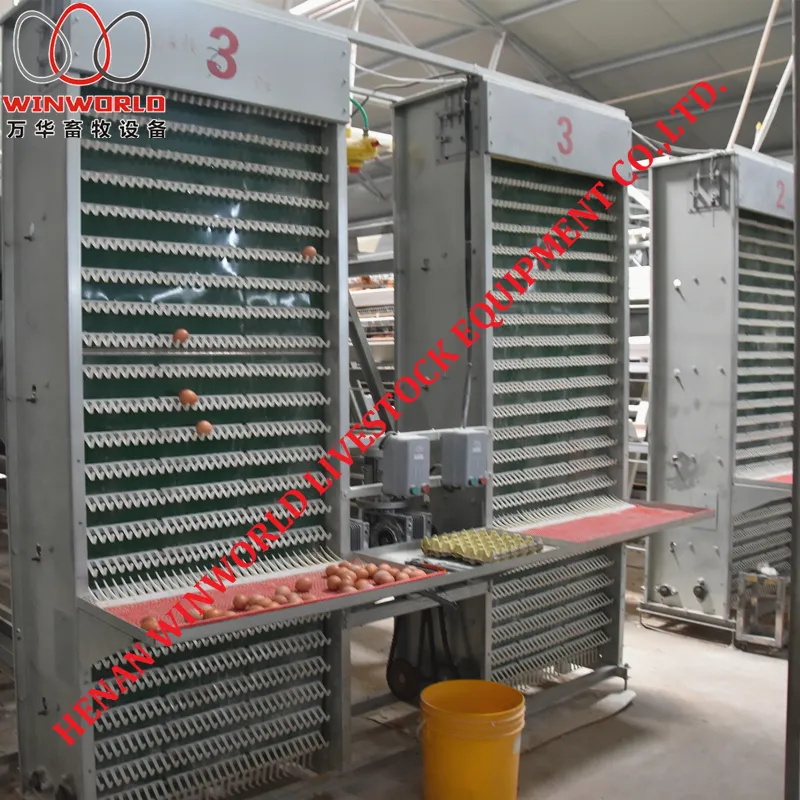 Battery Poultry Layer Cage for Poultry Farming