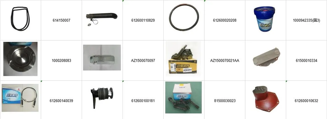 CE Approved Excavator Part Wei Chai Diesel Engine Parts for Sale