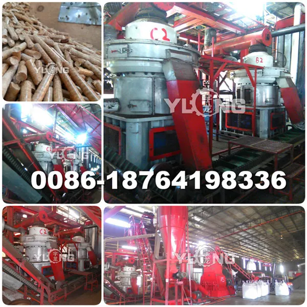 China Hot Sale Biomass Fuel Pellet Press (XGJ850)