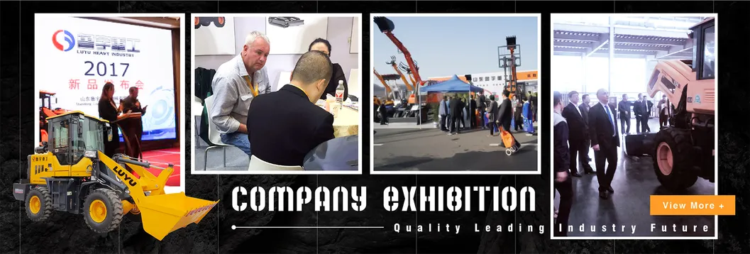 China Luyu Small Front End Mini Wheel Loader with CE Certification