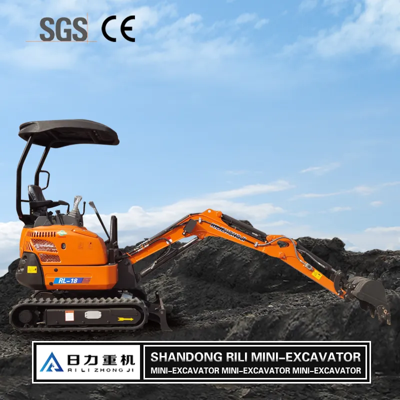 China Mini Excavator 1ton Small Digger Excavator with Rubber Track