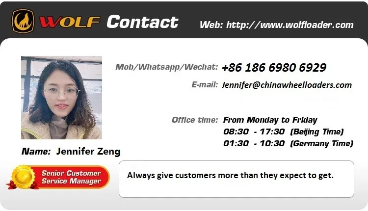 China We12 Small Track Excavator Mini Digger with High-Performance Japanese Engine