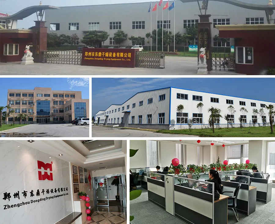 Customized Ring Die Biomass Pellet Production Line for Bagasse, Rice Husk, Straw, Alfalfa, Wood Chips, Sawdust Pelletizing Machine