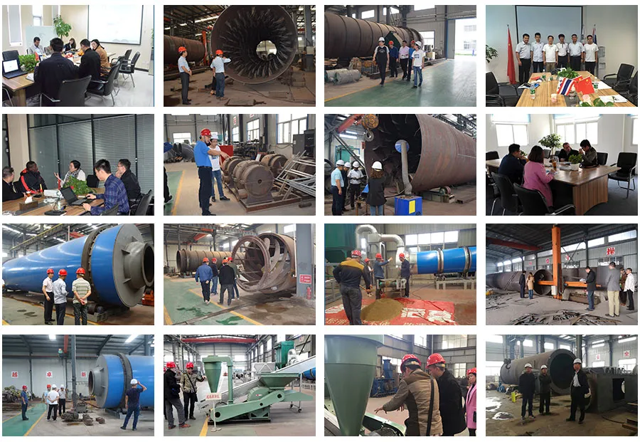 Customized Ring Die Biomass Pellet Production Line for Bagasse, Rice Husk, Straw, Alfalfa, Wood Chips, Sawdust Pelletizing Machine