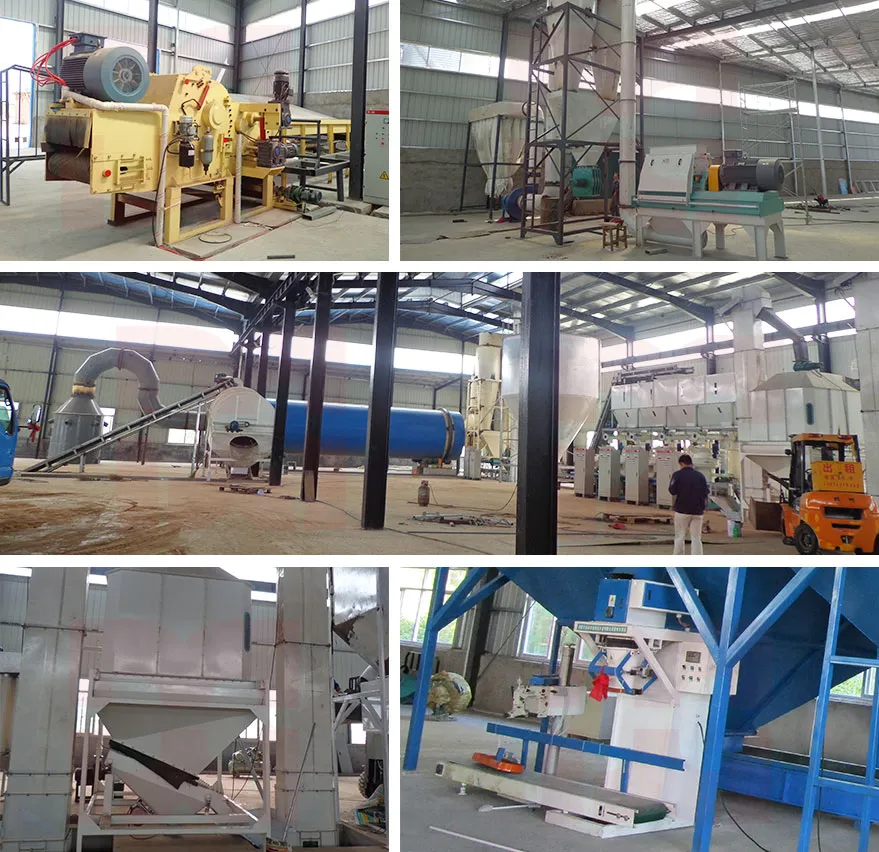 Customized Ring Die Biomass Pellet Production Line for Bagasse, Rice Husk, Straw, Alfalfa, Wood Chips, Sawdust Pelletizing Machine