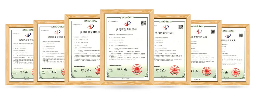 Customized Ring Die Biomass Pellet Production Line for Bagasse, Rice Husk, Straw, Alfalfa, Wood Chips, Sawdust Pelletizing Machine