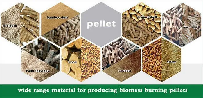 Customized Ring Die Biomass Pellet Production Line for Bagasse, Rice Husk, Straw, Alfalfa, Wood Chips, Sawdust Pelletizing Machine
