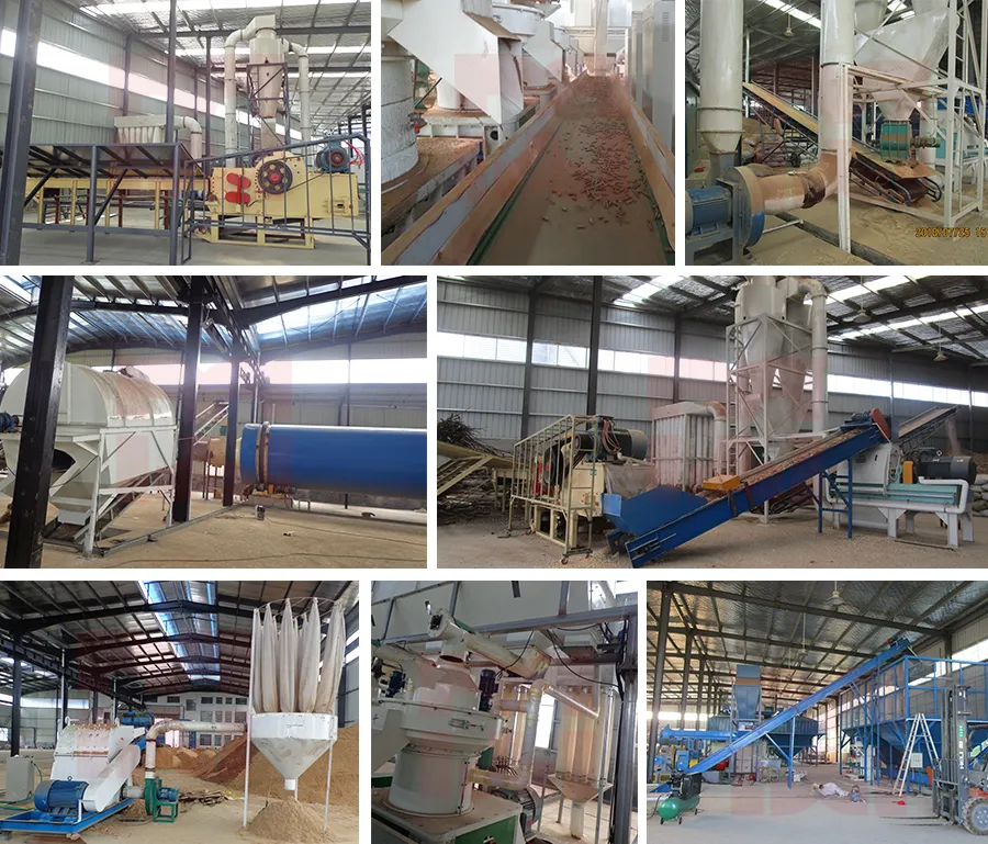 Customized Ring Die Biomass Pellet Production Line for Bagasse, Rice Husk, Straw, Alfalfa, Wood Chips, Sawdust Pelletizing Machine