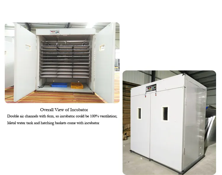 Electrica Medium Thermostat Laboratory Incubator 5280