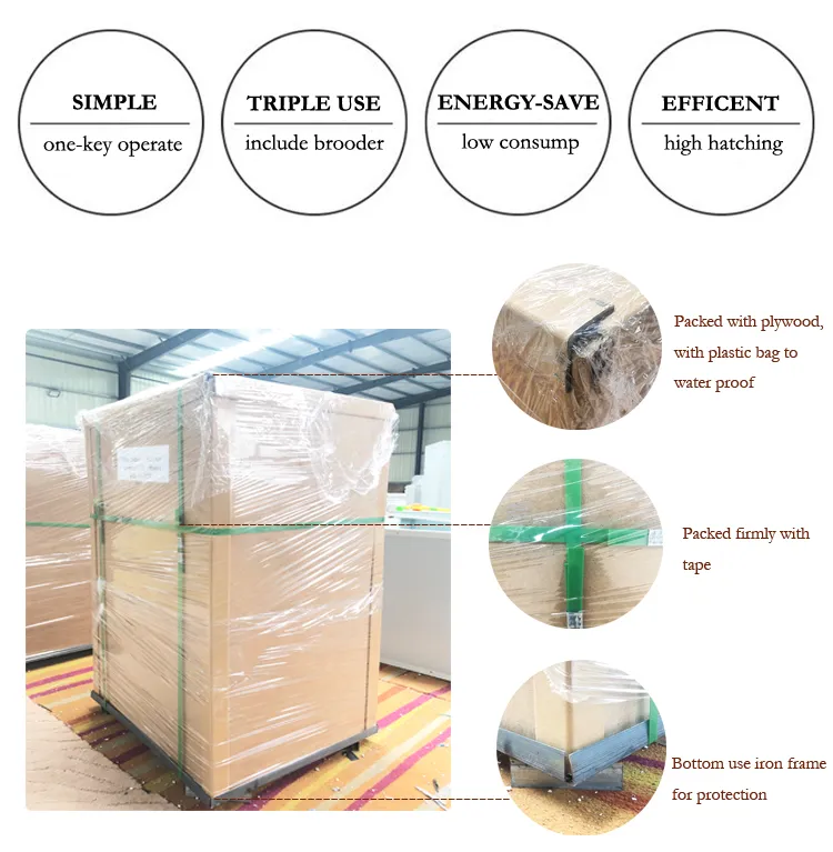 Electrica Medium Thermostat Laboratory Incubator 5280