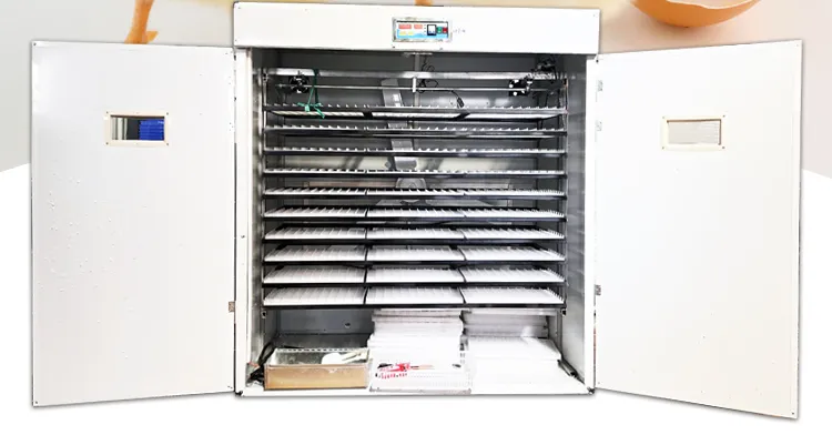 Electrica Medium Thermostat Laboratory Incubator 5280