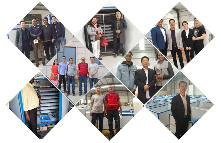 Electrica Medium Thermostat Laboratory Incubator 5280