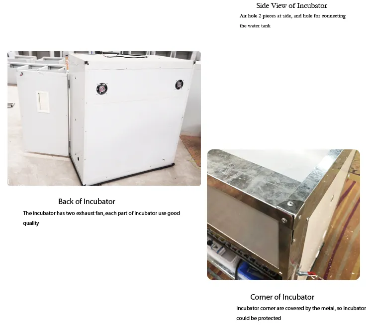 Emu Test Tube 5280 Eggs Incubator Heating Plate