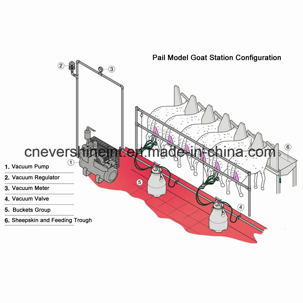 Factory Directly Sale Fixed Pipeline Milking Machine for Dairy Farm Milking