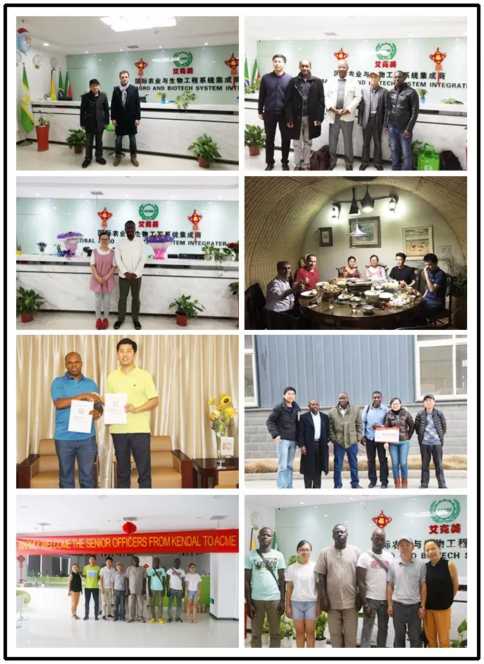 Factory Export Small Electric Peanut Sheller Machine for Sale