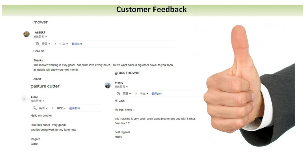 Filail Type Pasture Mowing Machine Equipment/Soiling Grass Cutter/Hey/Silage Mower (factory selling customization)