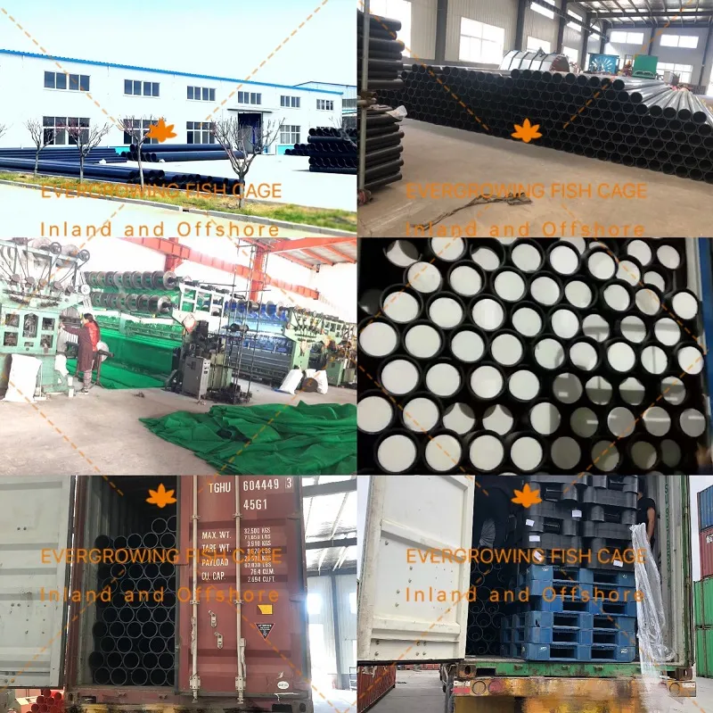 HDPE Fish Cage for Aquaculture Farming Square Net Cages 6mx6m / 5mx5m / 4mx4m