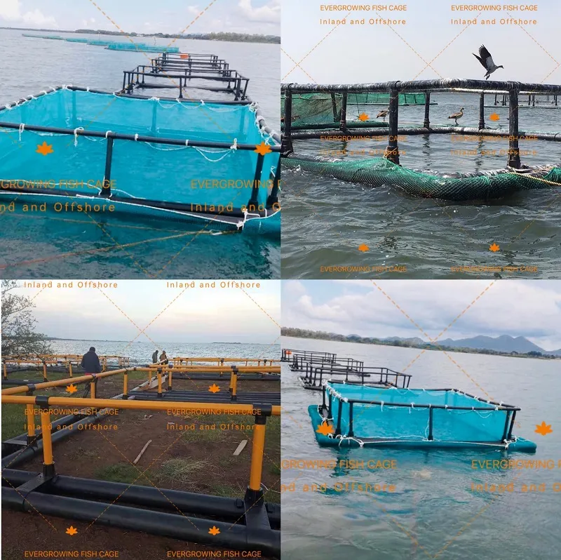HDPE Fish Cage for Aquaculture Farming Square Net Cages 6mx6m / 5mx5m / 4mx4m