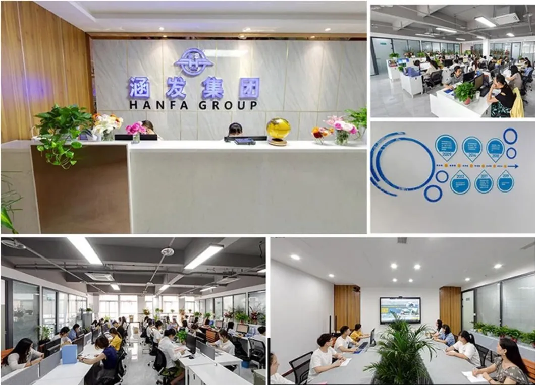 Hf330 Crawler Hydraulic Rotary Drill/Drilling Rig for Foundation Engineering