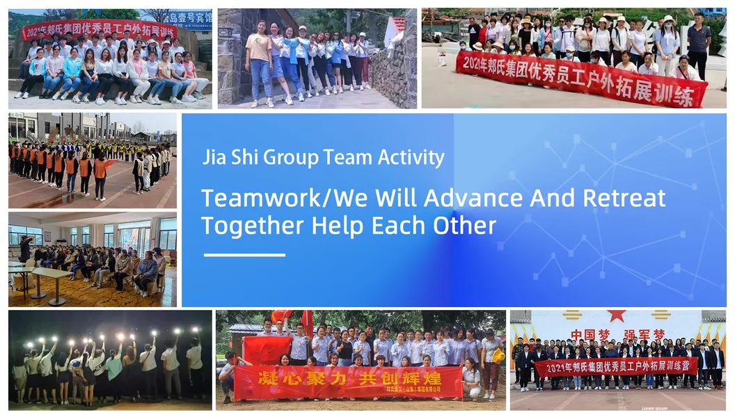 High-Quality Multi-Function Large Skid Steer Loaders Manufacturer Supplies