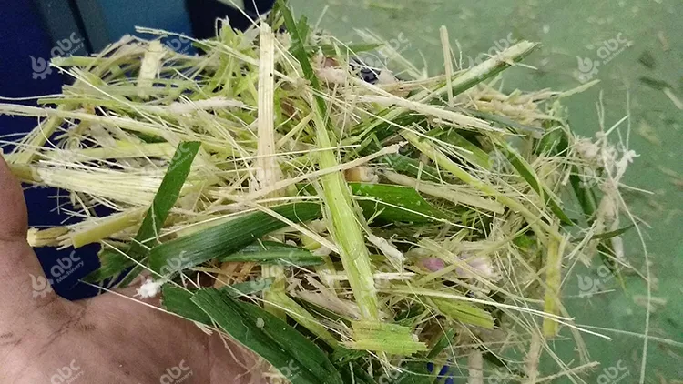 High Speed Alfalfa Napier Grass Chaff Cutter Machine for Livestock Feed