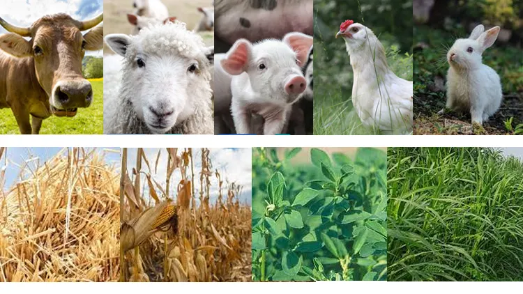 High Speed Alfalfa Napier Grass Chaff Cutter Machine for Livestock Feed