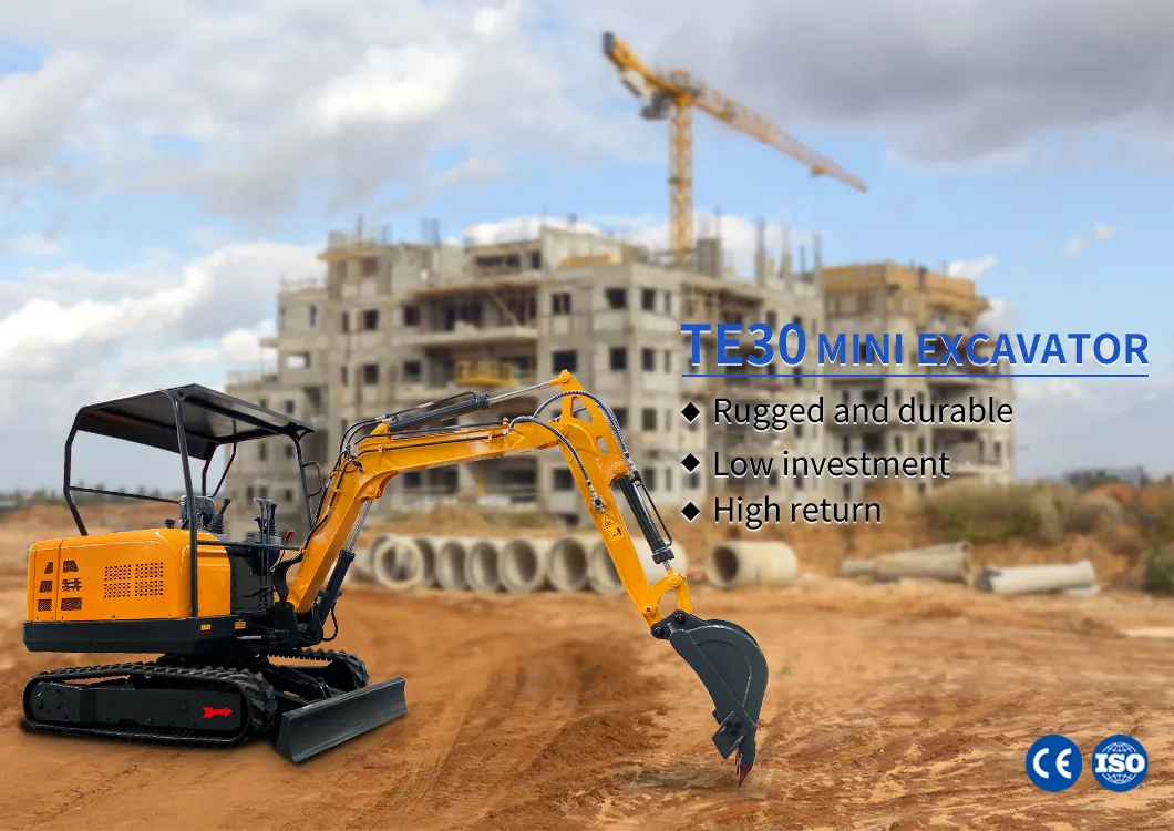 Hot Sale China Toros 3 Ton Backhoe Mini Hydraulic Crawler Excavator/ Te30/CE ISO EPA/ Strong Power for Farm Garden Construction
