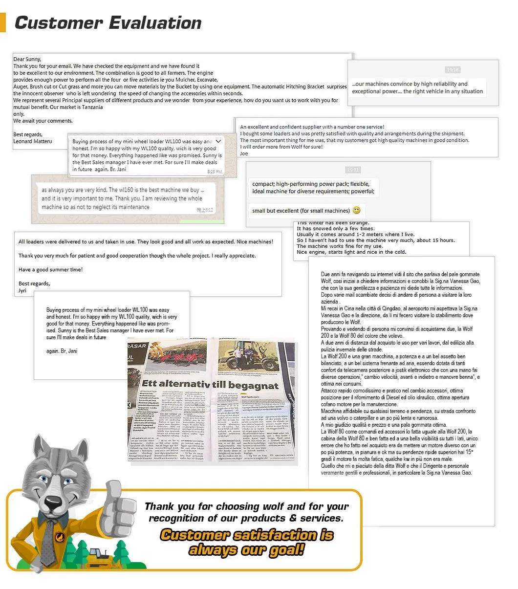 Hydraulic Crawler Mini Excavator Tracked Mini Digger of 2.5 Ton