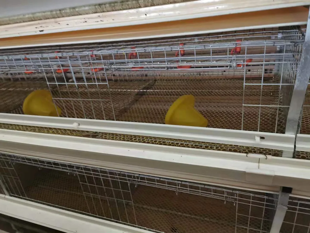 Layer Cage Best Quanlity Hot Sale Chicken Equipments Hot Galvanized Wiremeshes