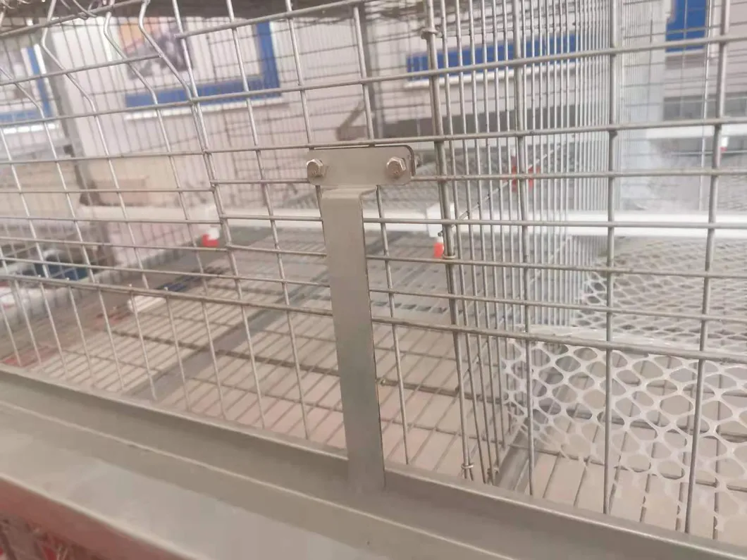 Layer Cage Best Quanlity Hot Sale Chicken Equipments Hot Galvanized Wiremeshes