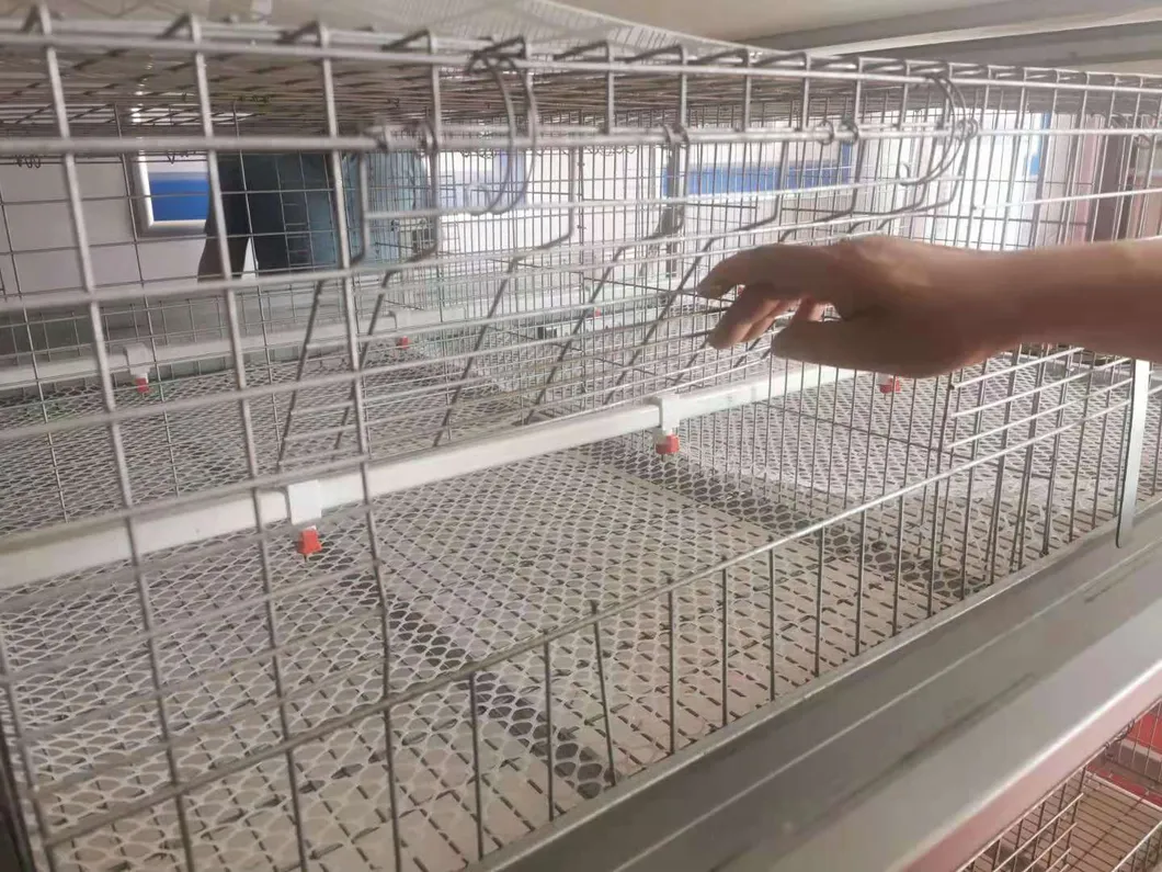 Layer Cage Best Quanlity Hot Sale Chicken Equipments Hot Galvanized Wiremeshes