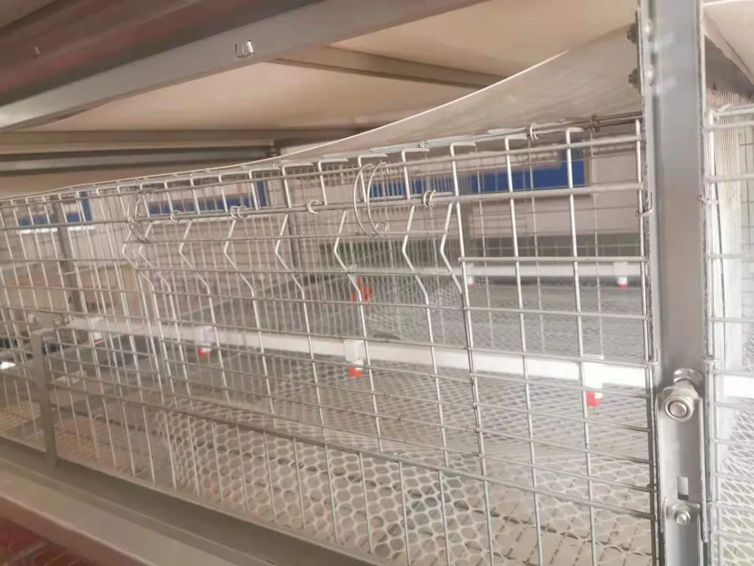 Layer Cage Best Quanlity Hot Sale Chicken Equipments Hot Galvanized Wiremeshes