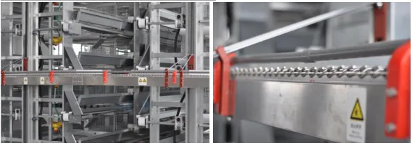 Layer Chicken Cage for Chicken Farm