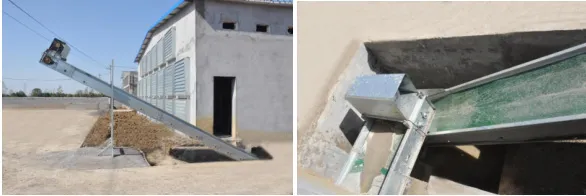 Layer Chicken Cage for Chicken Farm