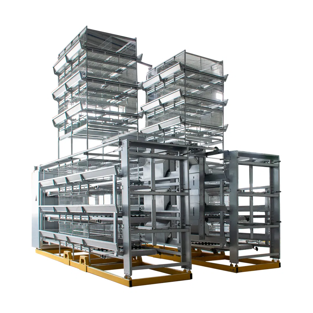 Layer Chicken Cage for Chicken Farm