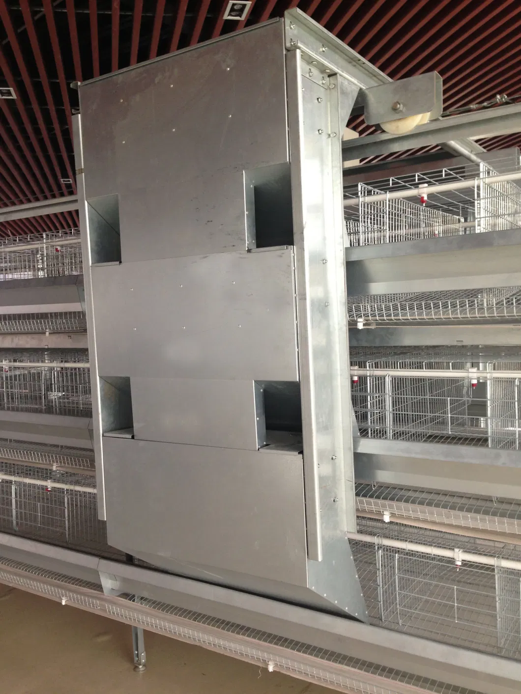 Layer Chicken Cage for Chicken Farm