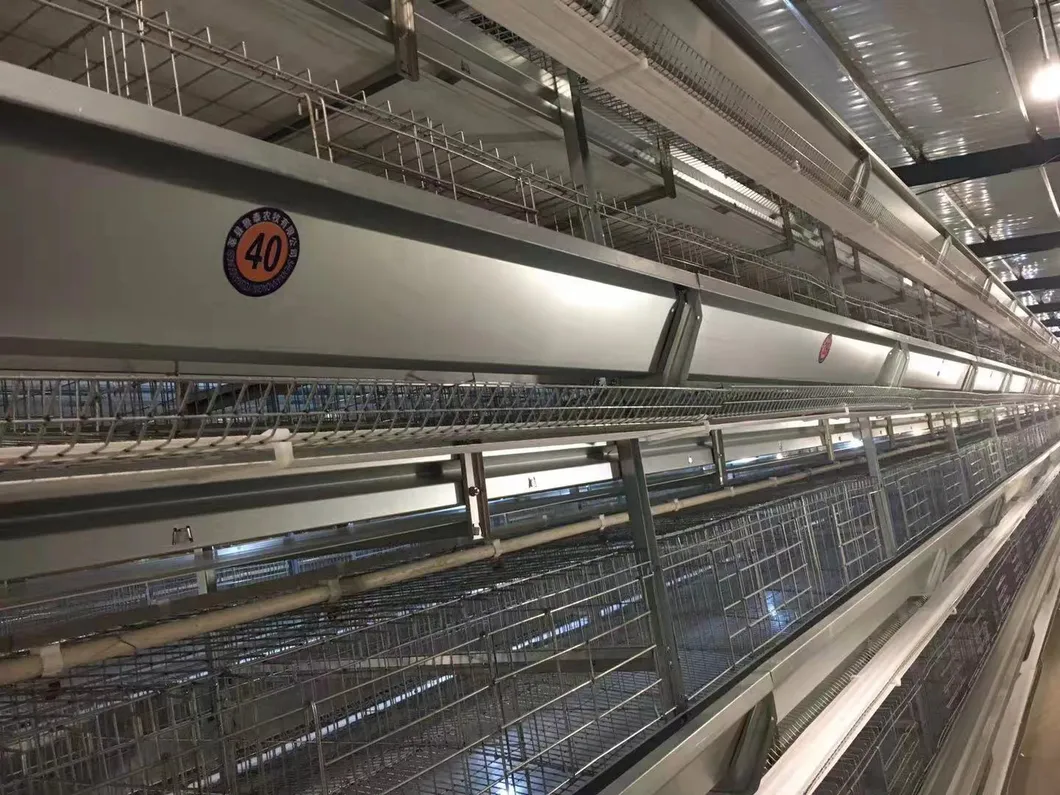 Layers Good Price Cage New Degsin for Poultry Farm Machine Hot Galvanized Wiremeshes