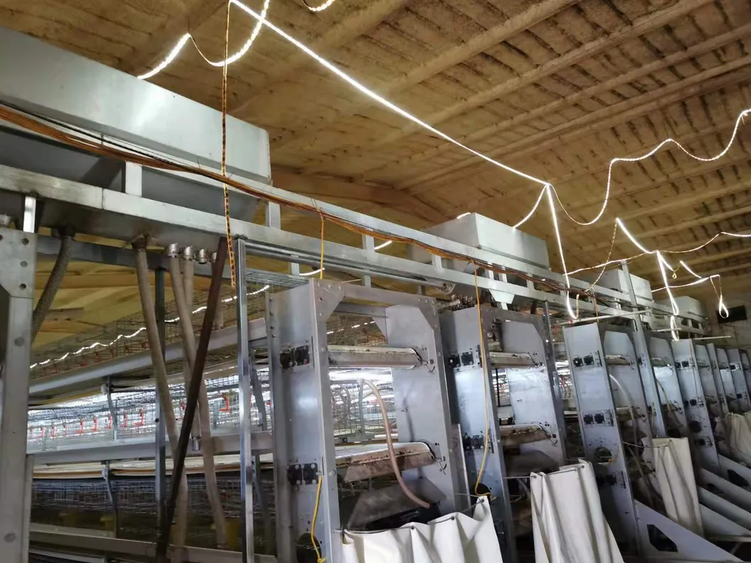 Layers Good Price Cage New Degsin for Poultry Farm Machine Hot Galvanized Wiremeshes